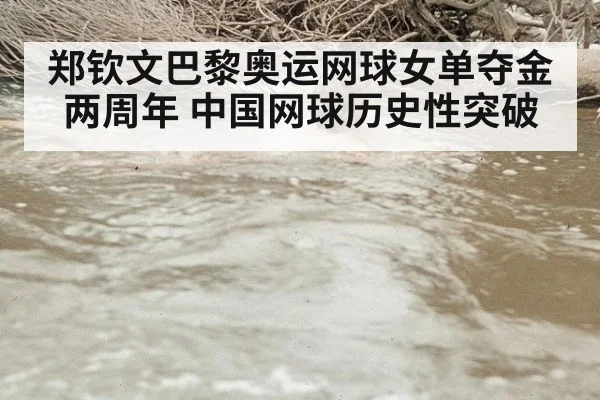 郑钦文巴黎奥运网球女单夺金两周年 中国网球历史性突破